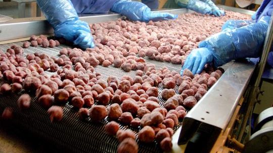 Firmy z woj. lubelskiego zatrudniają coraz więcej Ukraińców