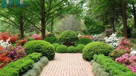 Florystyczna branża "kwitnie Poszukujesz wsparcia gotówkowego na taki biznes?