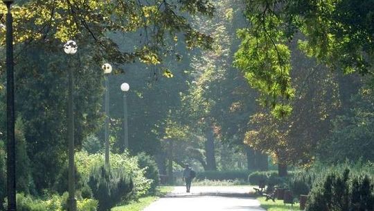 Fontanny, bulwar, kładki i skatepark w parku Ludowym. Ale i wycinka drzew