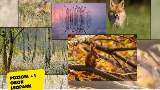 Fotografia przyrodnicza w VIVO! Lublin