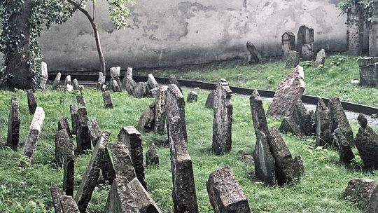 Fotografie czasu przeszłego w Galerii NN