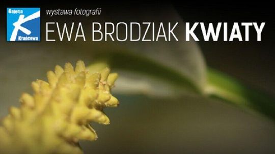 Fotografie Ewy Brodziak w Galerii Krańcowej