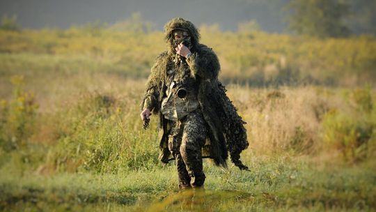 Fotografuje dziką przyrodę. "W lesie trzeba być, gdy jest jeszcze ciemno"