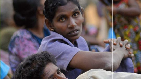 Frances Harrison \"Do dziś liczymy zabitych. Nieznana wojna w Sri Lance\"