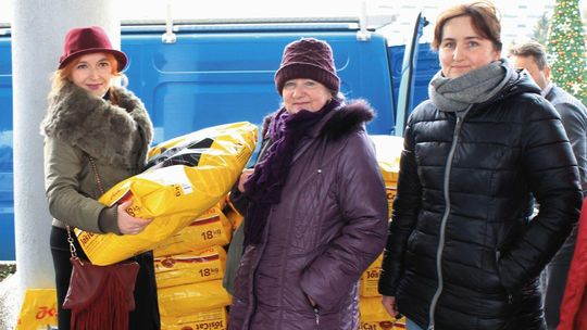 Fundacja pomagająca zwierzętom skreślona z rejestru. Atak hakerski?