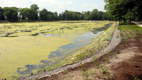 Fuszerka za 11 milionów złotych. Mieszkańcy wciąż czekają na otwarcie parku