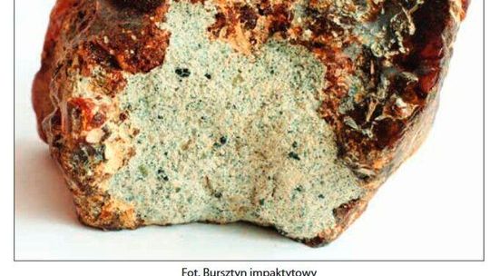 Gabinety historii naturalnej Lublina. Nowa wystawa w Muzeum Józefa Czechowicza