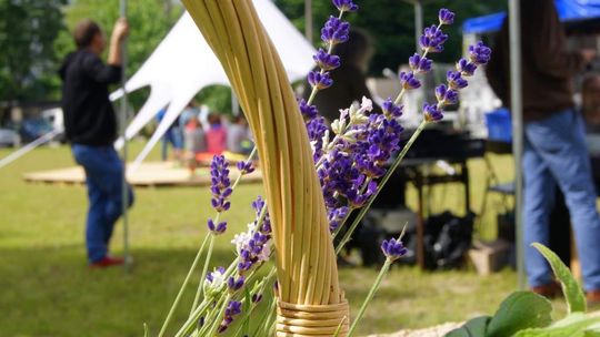 Galeria Labirynt: Chodź na grilla!