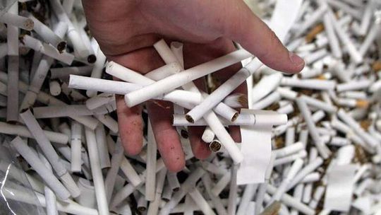 Gang spod Tomaszowa Lubelskiego przemycał papierosy rejsowymi samolotami