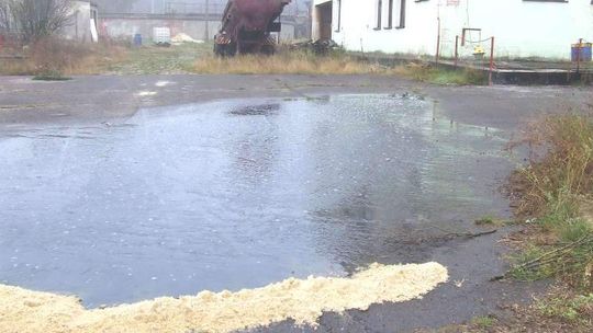 Garbarnia truje, ale kogo to interesuje?