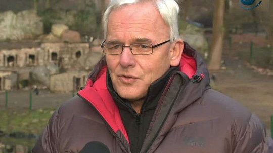 Gdańsk: Zwierzęta nie chcą spać, bo jest za ciepło