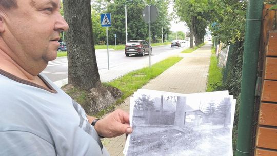 Gdy mocno wieje, ludzie się boją, że drzewa przewrócą się na ich domy