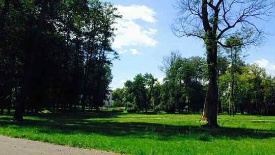 Gdzie może powstać spopielarnia zwłok zwierzęcych? Mieszkańcy zadowoleni, ale co zrobi wojewoda