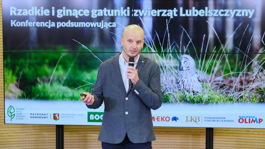 Gdzie na Lubelszczyźnie spotkasz gadożera? Wilki widziano nawet na peryferiach Lublina