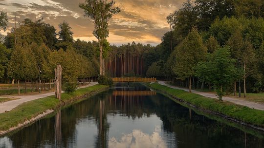 Gdzie pojechać na kilka dni blisko natury? Roztocze może Cię zaskoczyć!