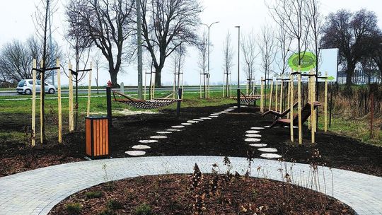Gdzie posadzić drzewo, gdzie wymienić ławkę? Startuje zielony budżet Lublina