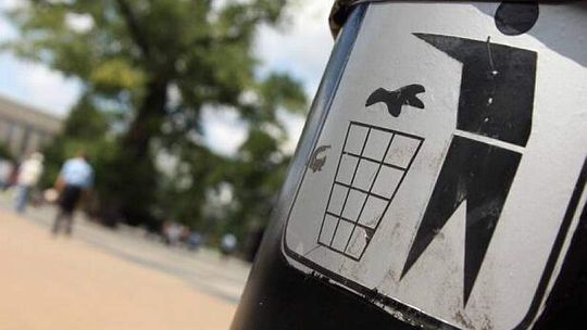 Gdzie posadzić nowe drzewa, gdzie ustawić kosze?