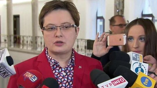 Gdzie Ryszard Petru poleciał w trakcie protestów w Sejmie? Jest zdjęcie z samolotu