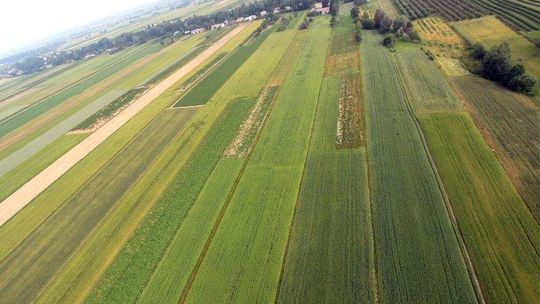 Gdzie są najatrakcyjniejsze działki w woj. lubelskim?