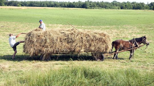 Gdzie spędzić weekend majowy: Propozycje agroturystyczne