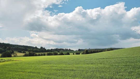 Gdzie sprawdzić dane o działce?