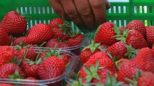 Gdzie zarobić w wakacje? Wysyp ofert pracy sezonowej