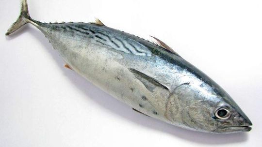 Gdzie zjeść dobrą rybę w Lublinie?