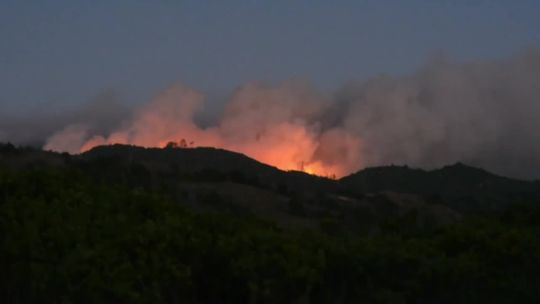 Gigantyczne pożary lasów w Kalifornii. Nakazem ewakuacji objęto 140 tysięcy osób