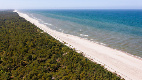 GIM Ostrowo - między falami a sosnami — wyjątkowy ośrodek kolonijny nad morzem