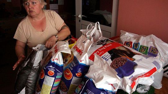 Gimnazjaliści z Lublina kupili karmę dla psów z Rachowa Starego