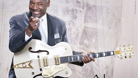 Gitarzysta z Kalifornii Alvon Johnson na Roztoczu 