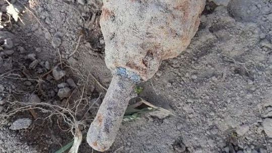 Glinnik: Kopał ziemniaki, znalazł granat [zdjęcia]