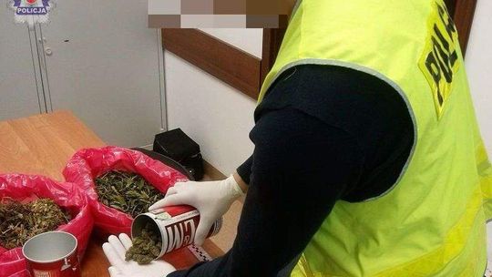 Gm. Milejów: Miał w domu plantację konopi