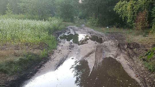 Gmina dostała rządową nagrodę. Wójt Karczmisk chciał tężni. Co na to radni?