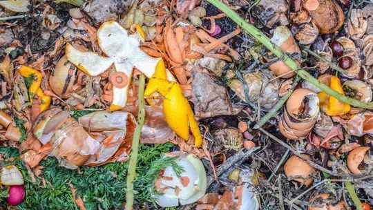 Gmina Łuków wyłapie śmieciowych lawirantów