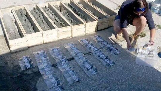 Gmina Niedźwiada: Bursztynu nie znaleźli. Są za to złoża glaukonitu