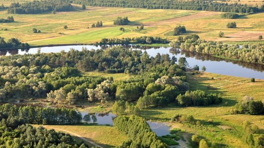 Gminy chcą dopłat za przyrodę. Bo nie mogą inwestować