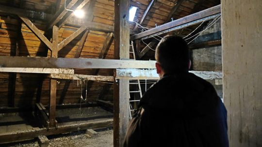 Gołębi problem w sercu Starego Miasta. Przez dwa lata prosili urzędników o jego rozwiązanie