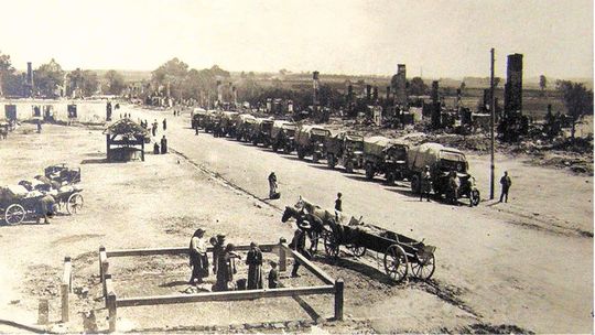 Gołębie i owce chroniły przed pożarami