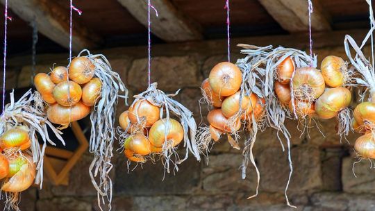 Gorący cebularz z pieca, zupa z wkładką, strogonow, pierś z kurczaka w paprykowym sosie