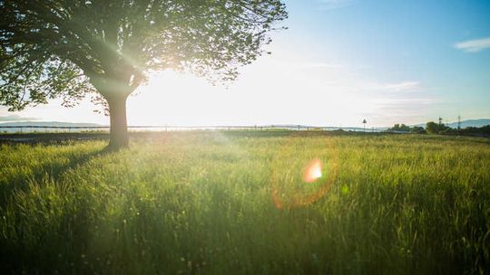 Gorący początek tygodnia. Nawet 30 stopni