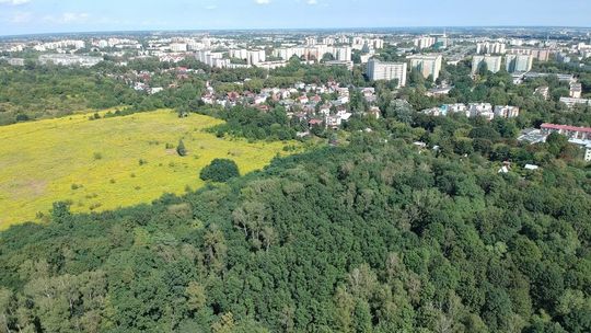 Górki czechowskie. Ratusz: Wstrzymujemy się