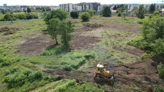 Górki czechowskie. Urzędnicy od przyrody mówią, czy koszenie szkodzi chomikom