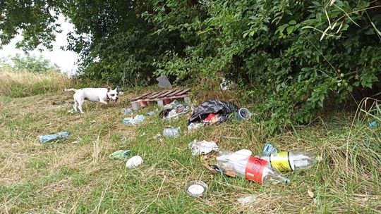 Góry śmieci w centrum Lublina. Posprzątają, ale nie wszystko