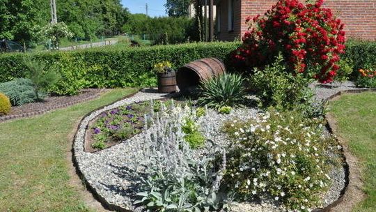 Gościeradów: Jurorzy wybrali ogrodowe piękności