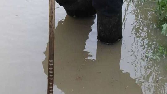 Gospodarstwa pod wodą. Strażacy interweniują na Lubelszczyźnie