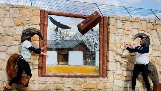 Gra miejska \"Nakarm mrówkojada\"