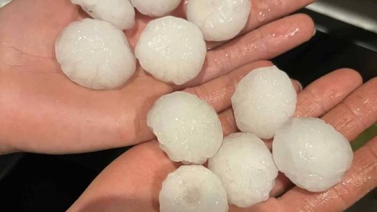 Grad wielkości piłki golfowej. Mieszkańcy: "Drzewa łamały się jak zapałki" 