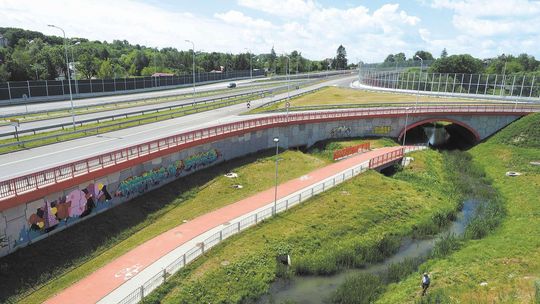 Graffiti psuje krajobraz? Rada Kultury Przestrzeni chce by je zamalować i posadzić bluszcz