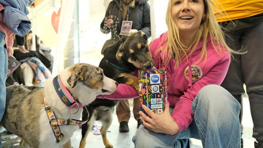 Trwa 34. zbiórka WOŚP. Pani Ewelina z synem Tymonem kwestują po raz pierwszy towarzyszy im suczka Tosia.